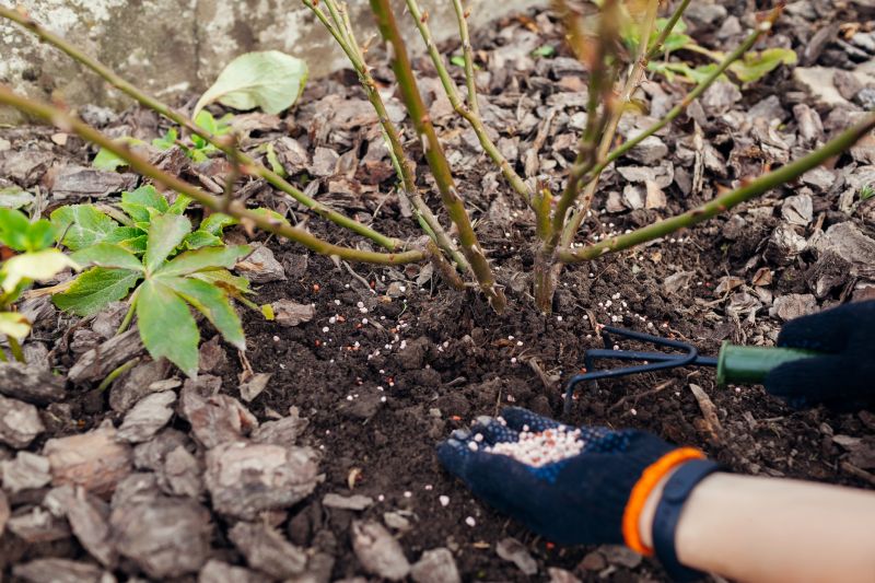 Yard Fertilization in Ventura County, CA