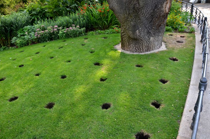 lawn aeration