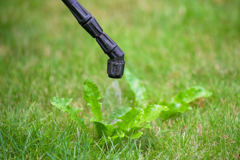 Crabgrass Removal in Rockwall, TX