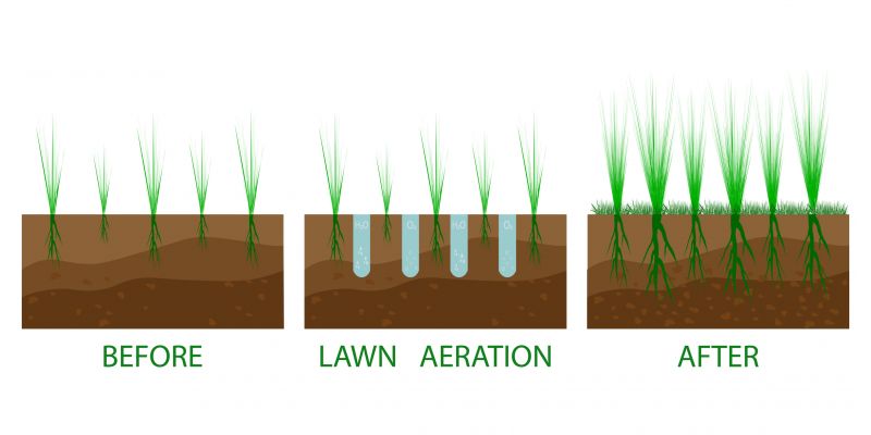Lawn Aeration