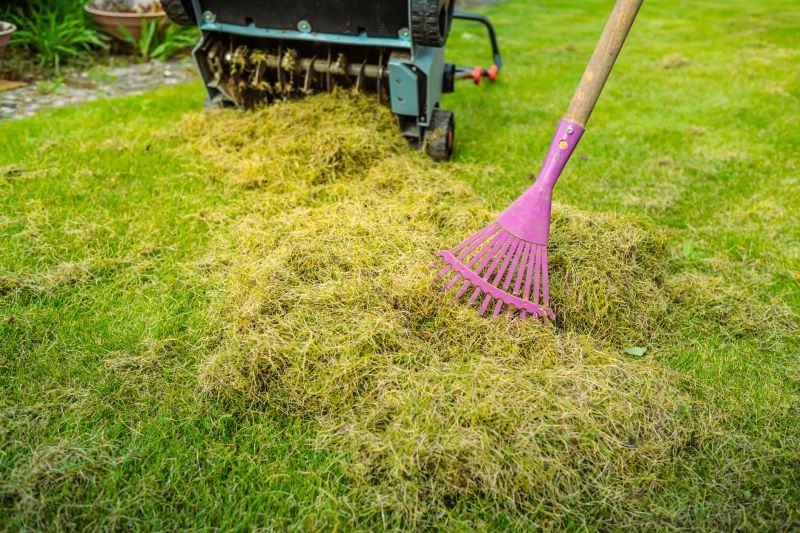Lawn Aeration