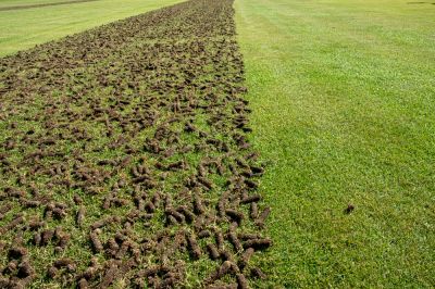 Lawn Aeration